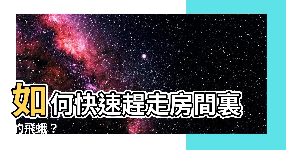 【房間裏有飛蛾】如何快速趕走房間裏的飛蛾？