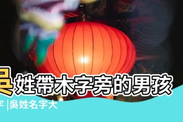 【吳姓取個帶木的好名字大全】吳姓帶木字旁的男孩名字 |吳姓名字大全 |帶木名字大全女孩姓吳 |