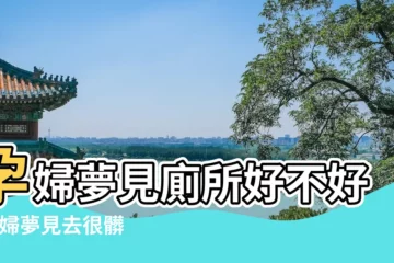 【孕婦夢見廁所不乾淨】孕婦夢見廁所好不好 |孕婦夢見去很髒的廁所 |懷孕夢見上很髒的廁所 |