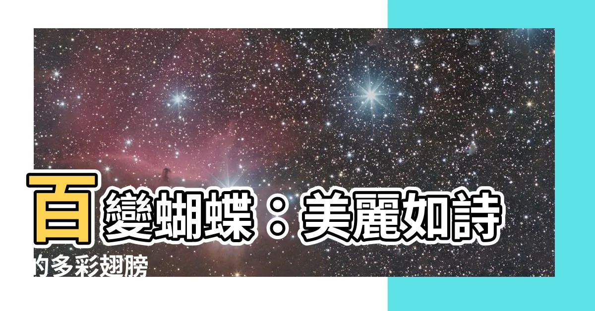 【蝴蝶 形容】百變蝴蝶：美麗如詩的多彩翅膀