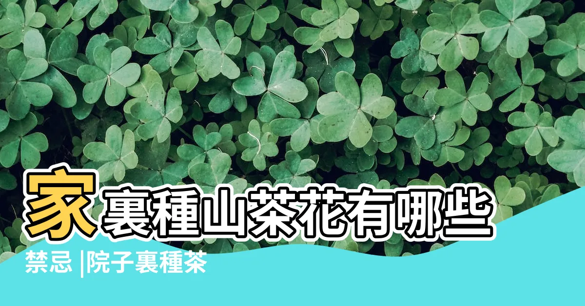 【茶花風水】家裏種山茶花有哪些禁忌 |院子裏種茶花樹風水好嗎 |門前種茶花好不好 |