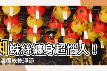 【蜘蛛絲怎麼清】蜘蛛絲纏身超惱人！3招清得乾乾淨淨