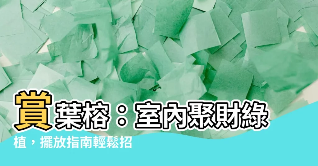 【賞葉榕】賞葉榕：室內聚財綠植，擺放指南輕鬆招財
