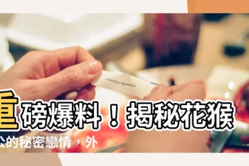 【花猴老公外遇對象】重磅爆料！揭秘花猴老公的秘密戀情，外遇對象究竟是誰？