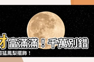 【鳳梨擺飾】財富滿滿！千萬別錯過超猛鳳梨擺飾！