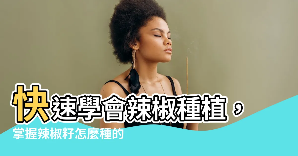 【辣椒籽怎麼種】快速學會辣椒種植，掌握辣椒籽怎麼種的訣竅