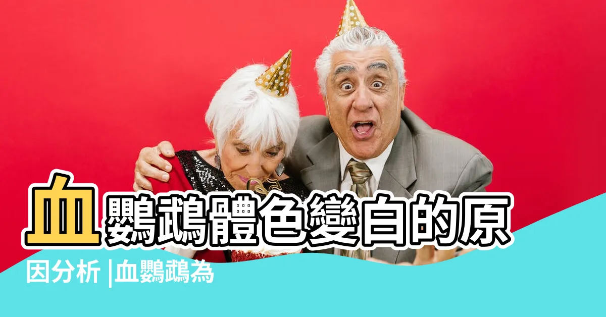 【雪鸚鵡變白】血鸚鵡體色變白的原因分析 |血鸚鵡為什麼會變白 |魚管家告訴你 |
