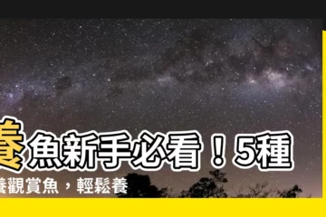 【耐養的魚】養魚新手必看！5種耐養觀賞魚，輕鬆養出魚中魚！