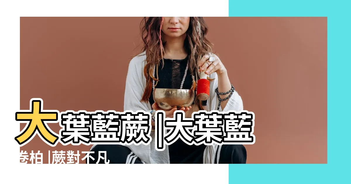 【大葉藍蕨照顧】大葉藍蕨 |大葉藍卷柏 |蕨對不凡 |