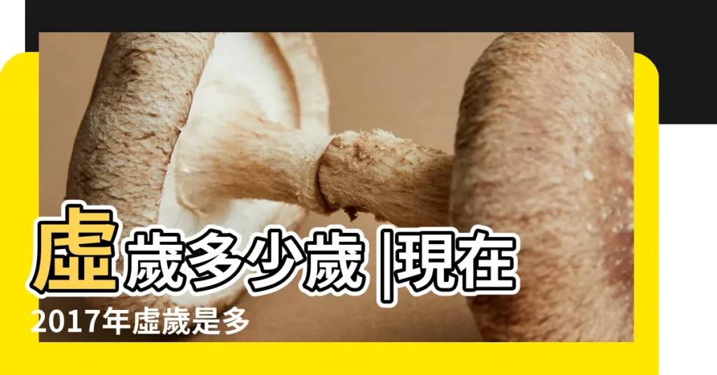 虛歲多少歲 |現在2017年虛歲是多少歲 |年齡計算器 |【1985年虛歲2017是多大】