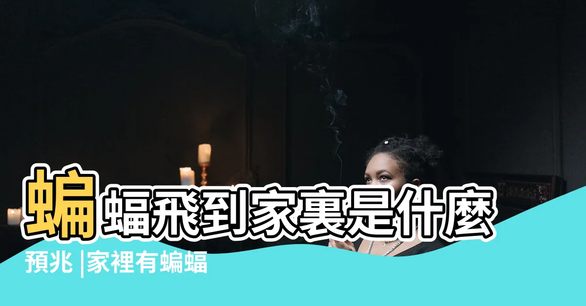 【蝙蝠入屋】蝙蝠飛到家裏是什麼預兆 |家裡有蝙蝠跑進來怎麼辦 |即將發大財 |