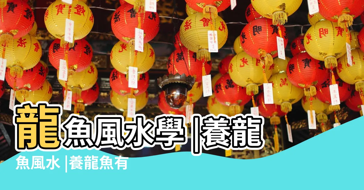 【龍魚混養風水】龍魚風水學 |養龍魚風水 |養龍魚有什麼風水講究 |