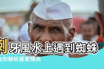 【喇牙風水】喇牙風水上遇到蜘蛛，為你解析居家預兆與8大好運