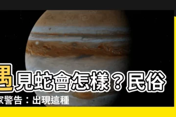 【看到蛇會怎樣】遇見蛇會怎樣？民俗專家警告：出現這種徵兆要當心！