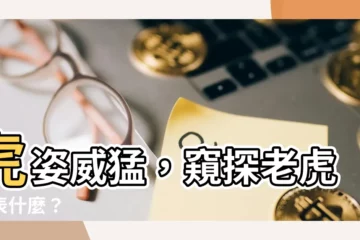 【老虎代表什麼】虎姿威猛，窺探老虎代表什麼？
