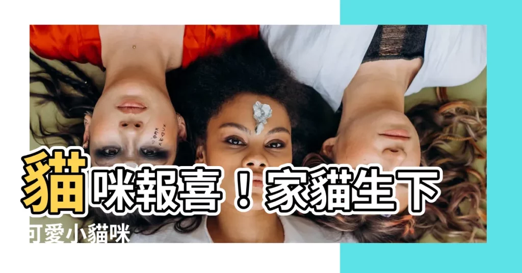 【家貓生小貓】貓咪報喜！家貓生下可愛小貓咪