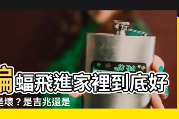 【蝙蝠來家裡是什麼意思】蝙蝠飛進家裡到底好還是壞？是吉兆還是凶兆？