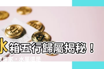 【冰箱五行屬什麼】冰箱五行歸屬揭秘！請教專家，水屬還是火屬？