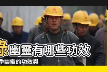 【幽靈水晶的寓意是什麼】綠幽靈有哪些功效 |四季幽靈的功效與寓意 |幽靈水晶 |