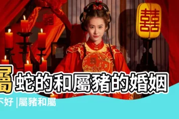 【屬蛇的人和屬豬的人】屬蛇的和屬豬的婚姻好不好 |屬豬和屬蛇的姻緣好嗎 |屬蛇和屬豬相沖怎麼辦 |