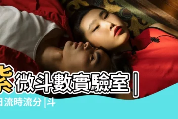 【紫微流時】紫微斗數實驗室 |流日流時流分 |斗數流月流日時之探討 |