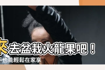 【火龍果種植盆栽】來去盆栽火龍果吧！新手也能輕鬆在家享受新鮮果實