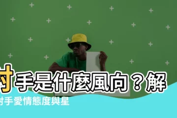 【射手是什麼風向】射手是什麼風向？解析射手愛情態度與星座分類！