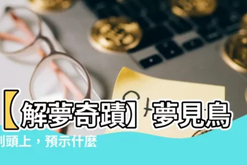 【夢見鳥飛到頭上】【解夢奇蹟】夢見鳥飛到頭上，預示什麼吉凶徵兆？