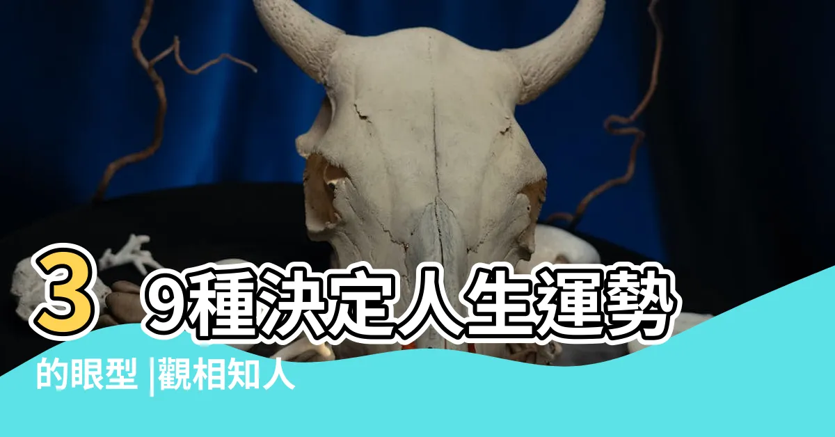 【眼睛面相】39種決定人生運勢的眼型 |觀相知人 |主人一生富貴與貧賤 |