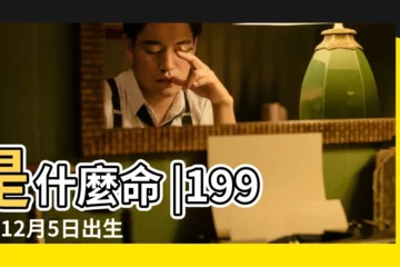 【1991年12月5日 9點】是什麼命 |1991年12月5日出生的人生辰八字測算 |1991年12月5日出生時間看命運 |