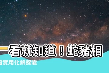 【蛇豬相沖化解】一看就知道！蛇豬相沖超實用化解錦囊