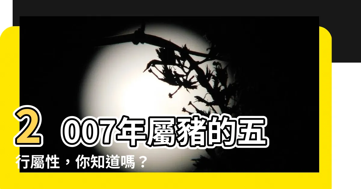 【2007五行】2007年屬豬的五行屬性，你知道嗎？