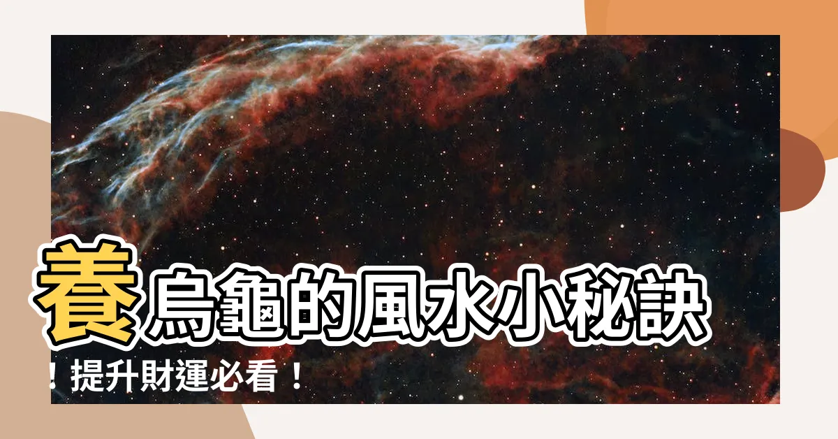 【養烏龜的風水】養烏龜的風水小秘訣！提升財運必看！