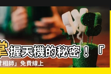 【天才相師】掌握天機的秘密！「天才相師」免費線上閲讀