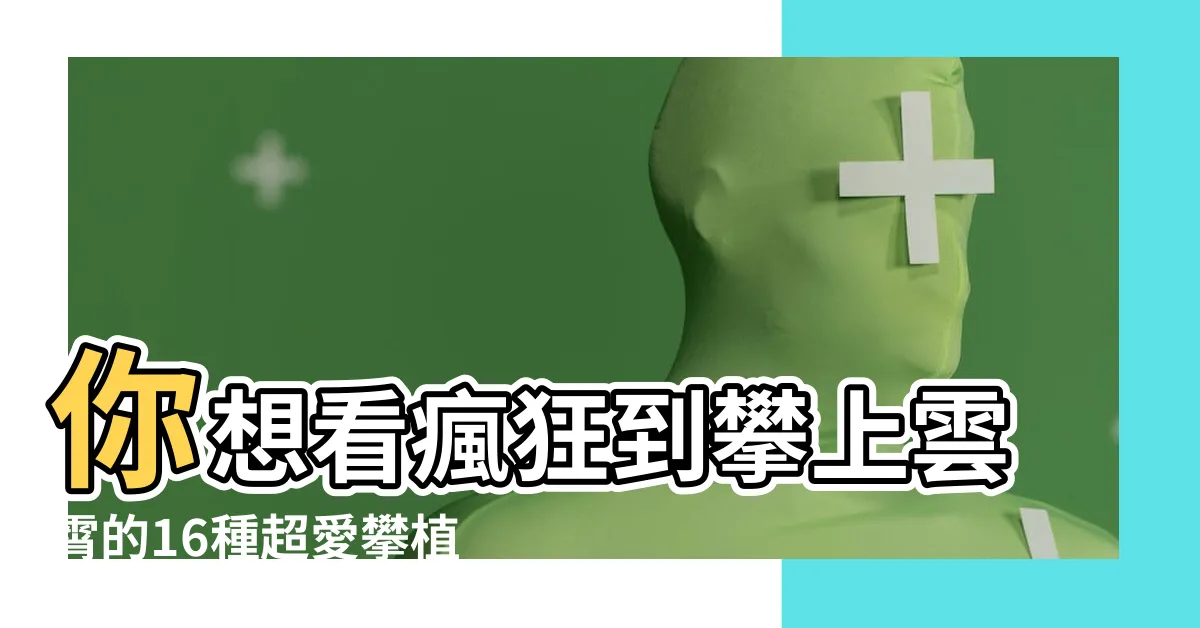 【攀植物】你想看瘋狂到攀上雲霄的16種超愛攀植物嗎？網友都驚呆了！