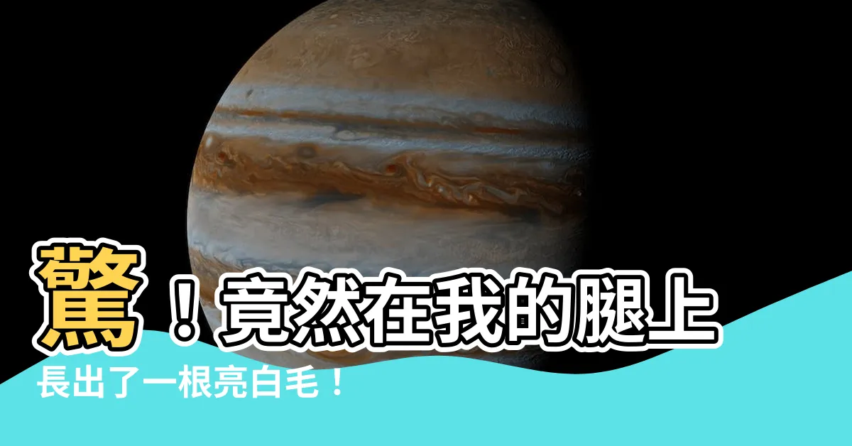 【腿上長白毛】驚！竟然在我的腿上長出了一根亮白毛！