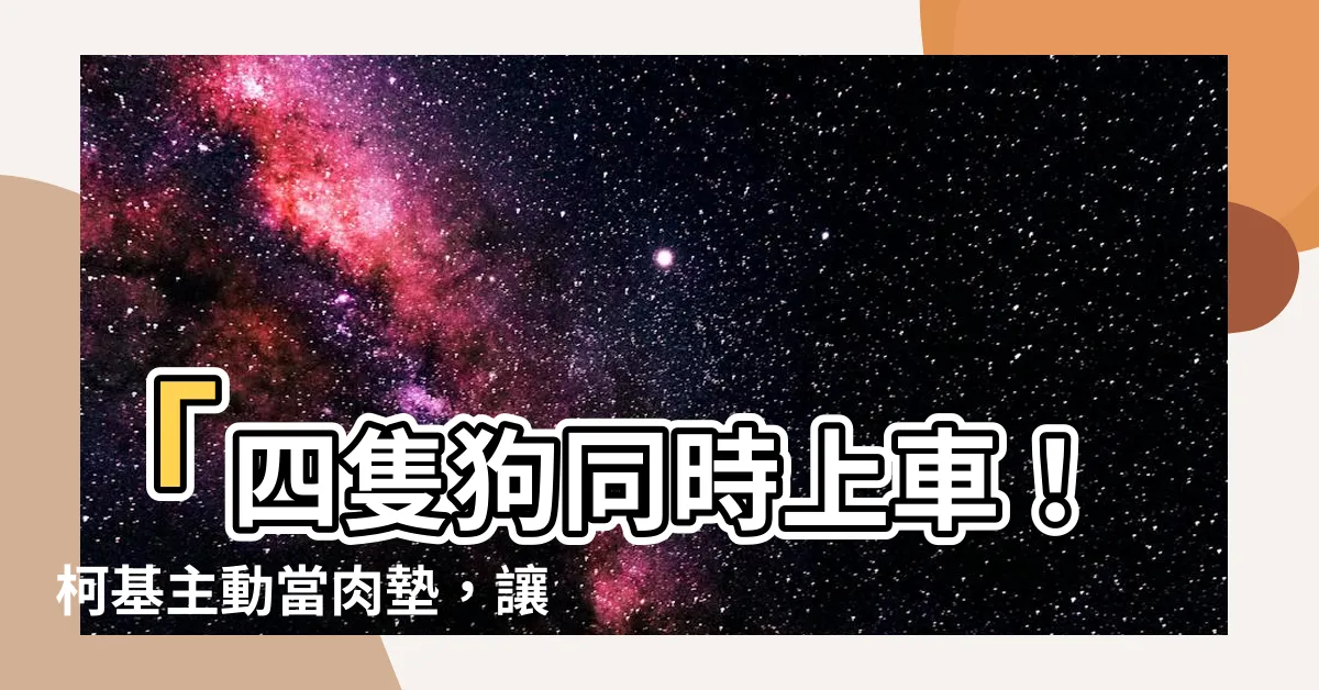 【四隻狗】「四隻狗同時上車！柯基主動當肉墊，讓柴犬騎上去疊成結果！」