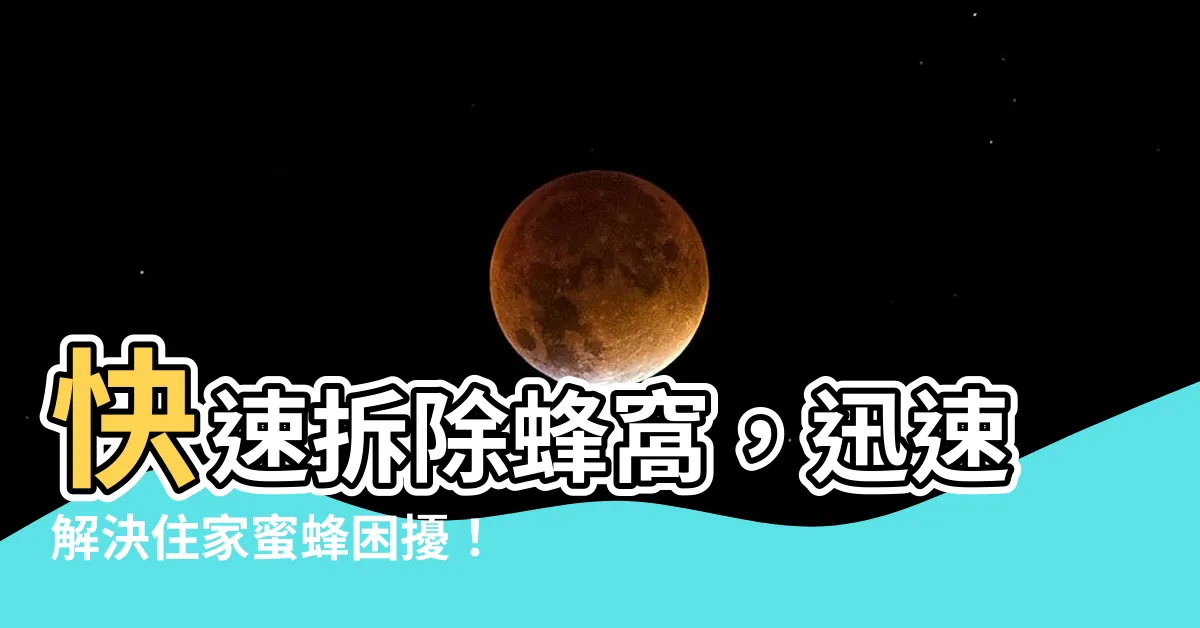【拆除蜂窩】快速拆除蜂窩，迅速解決住家蜜蜂困擾！