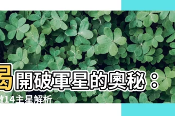 【破軍星】揭開破軍星的奧秘：紫微14主星解析