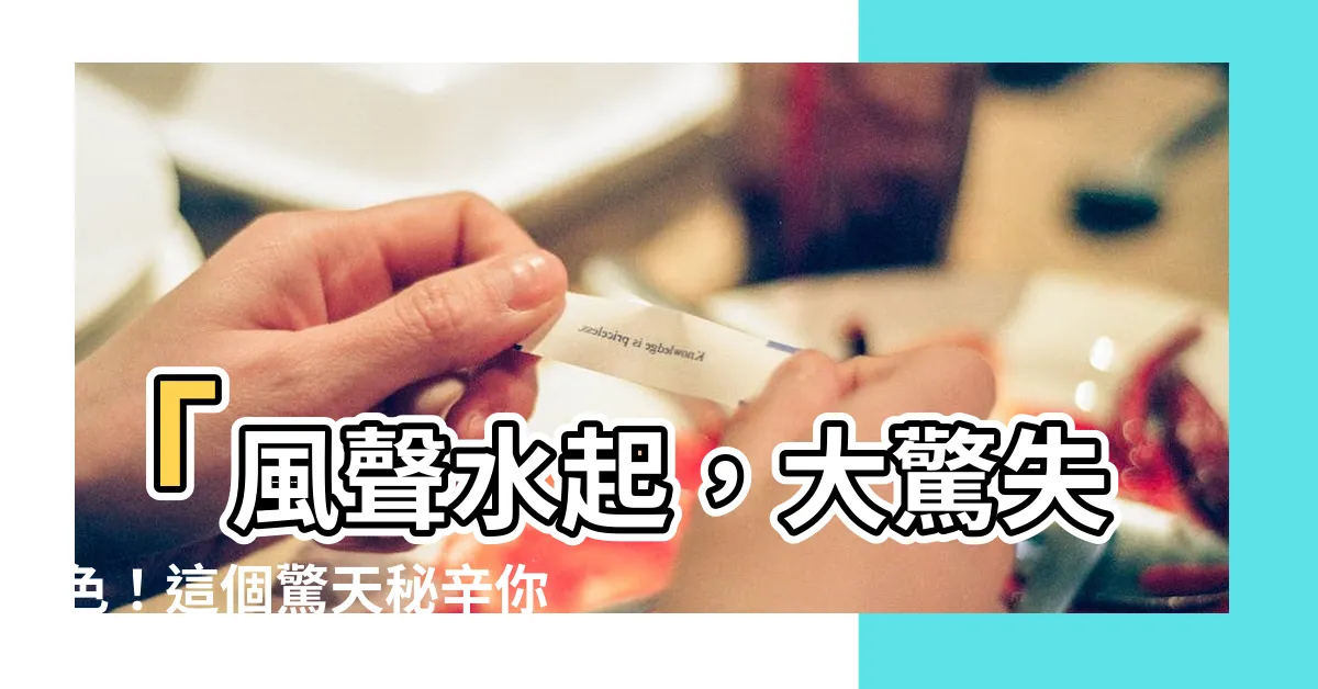 【風聲水起意思】「風聲水起，大驚失色！這個驚天秘辛你永遠猜不到！」