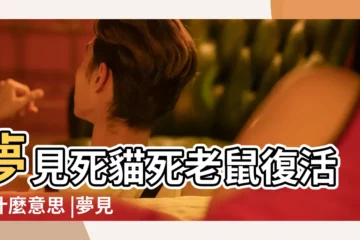 【女人夢見老鼠死了又復活了】夢見死貓死老鼠復活是什麼意思 |夢見死老鼠復活 |周公解夢 |