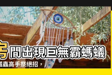 【房間出現大螞蟻】房間出現巨無霸螞蟻！滅蟲高手祭絕招，螞蟻秒速消失