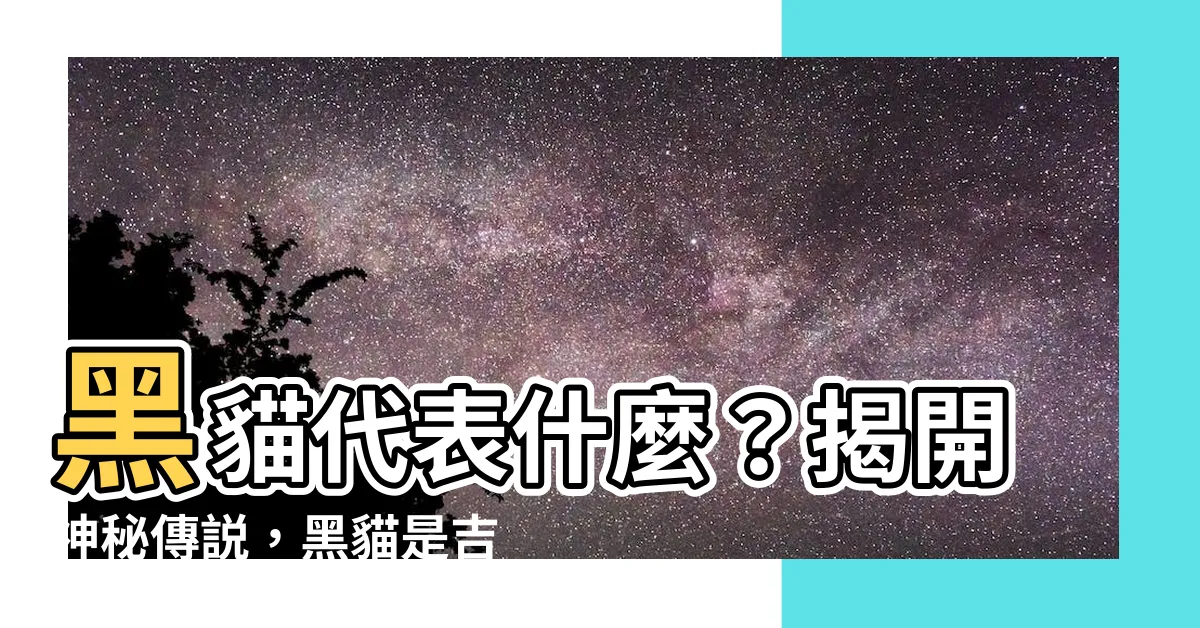 【黑貓代表什麼】黑貓代表什麼？揭開神秘傳説，黑貓是吉兆還是厄運？