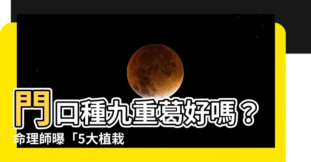 【門口種九重葛好嗎】門口種九重葛好嗎？命理師曝「5大植栽風水禁忌」