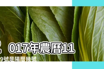 【2018年1月5日時辰對照】2017年農曆11月19號是陽曆幾號 |公曆2018年1月5號是什麼日子 |十二時辰查詢 |