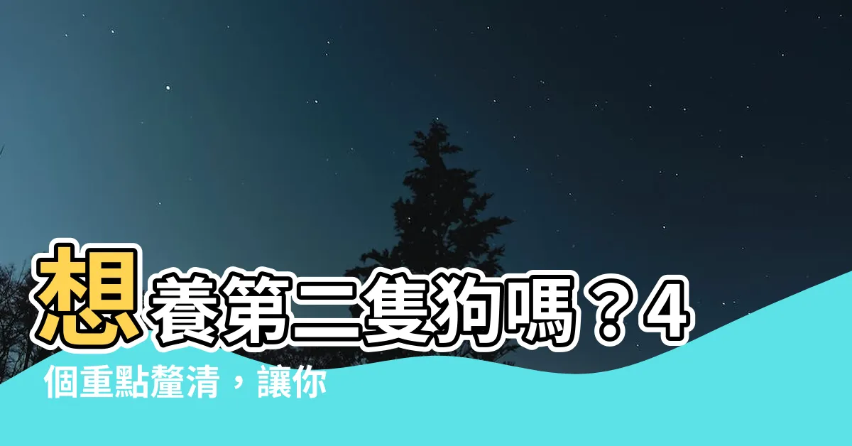 【養兩隻狗好嗎】想養第二隻狗嗎？4 個重點釐清，讓你與毛小孩相處更和諧！
