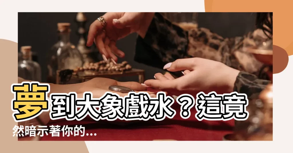 【夢到大象在水裡】夢到大象戲水？這竟然暗示著你的...？