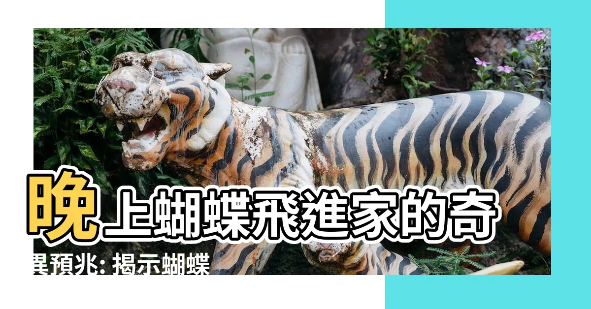 【晚上蝴蝶飛進家裡】晚上蝴蝶飛進家的奇異預兆: 揭示蝴蝶進屋的深層含義之不可思議