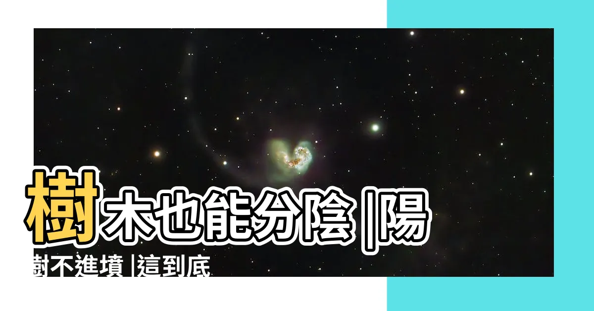 【陽樹 陰樹】樹木也能分陰 |陽樹不進墳 |這到底是風水還是植物學啊 |