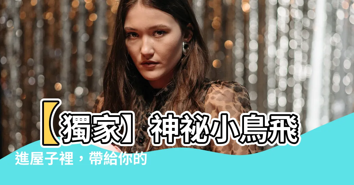 【小鳥飛進來】【獨家】神秘小鳥飛進屋子裡，帶給你的驚奇是什麼？